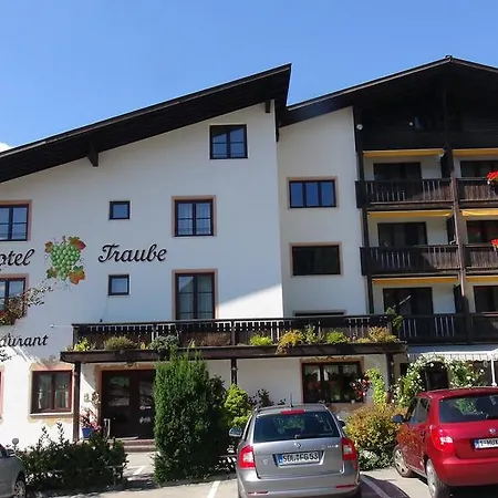 Traube Hotel 3*