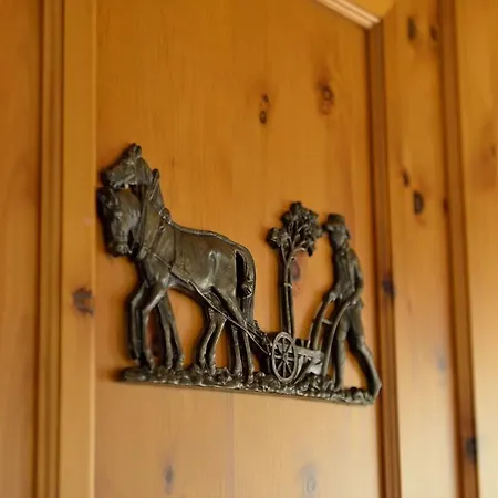 Hotel Traube