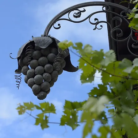 Traube 3* Sankt Gallenkirch