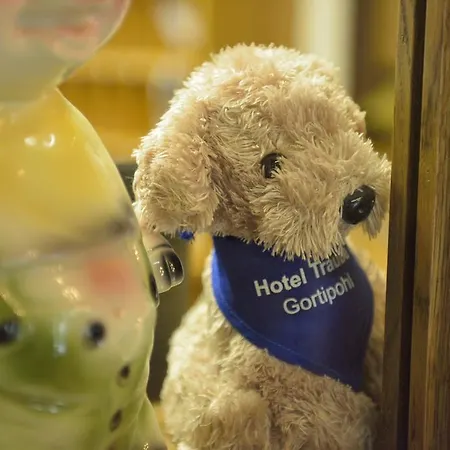 Otel Traube Sankt Gallenkirch