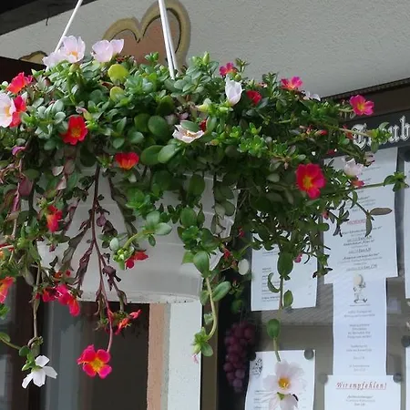 Hotel Traube 3*